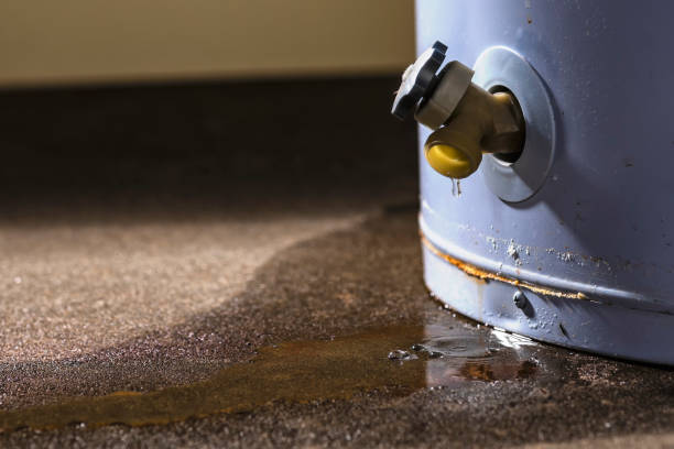 Best Water damage contractors near me  in Churchill, PA
