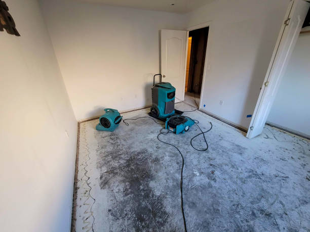 Best Residential water damage restoration  in Churchill, PA