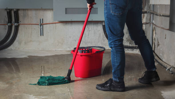 Best Ceiling water damage repair  in Churchill, PA