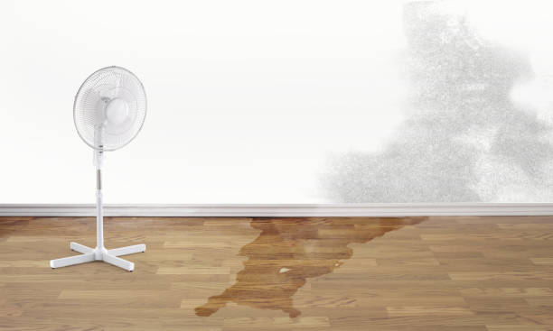 Best Commercial water damage restoration  in Churchill, PA