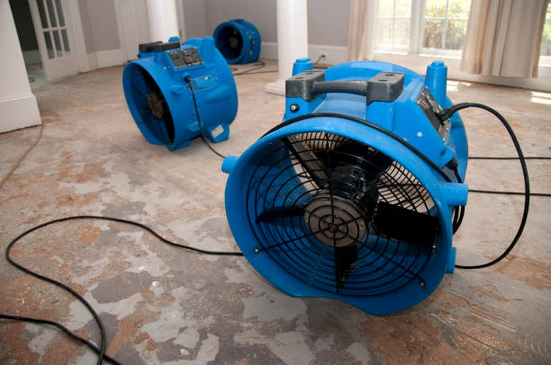 Best Basement water damage restoration  in Churchill, PA