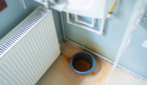 Best Professional water damage repair  in Churchill, PA