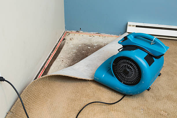 Best Water damage restoration experts  in Churchill, PA